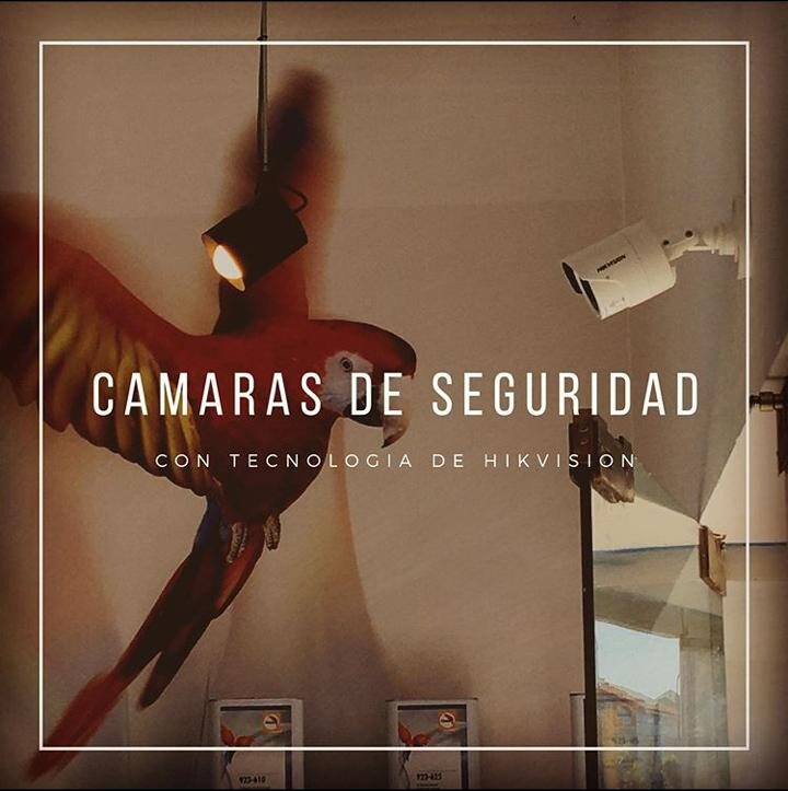 Instalacion de camaras en pintureria mimetizarte e1605492514481