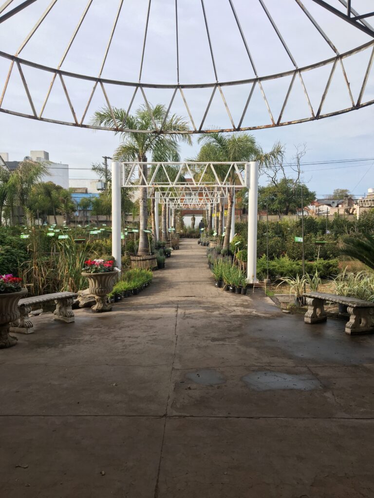 Camaras de seguridad en vivero Antoniucci3