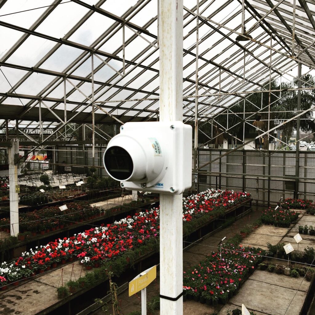 Camaras de seguridad en vivero Antoniucci7