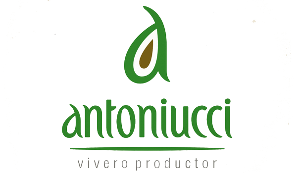 Por qué instalar cámaras de seguridad Hikvision. 3 antoniucci