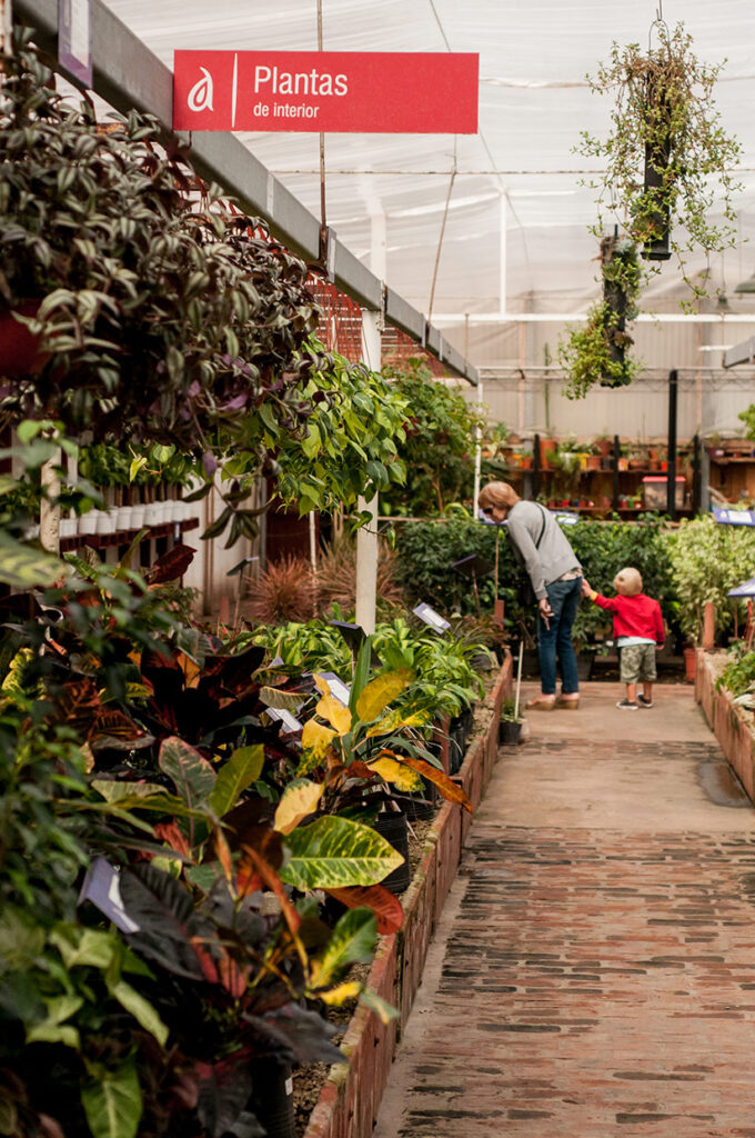 galeria jardineria ACS9447